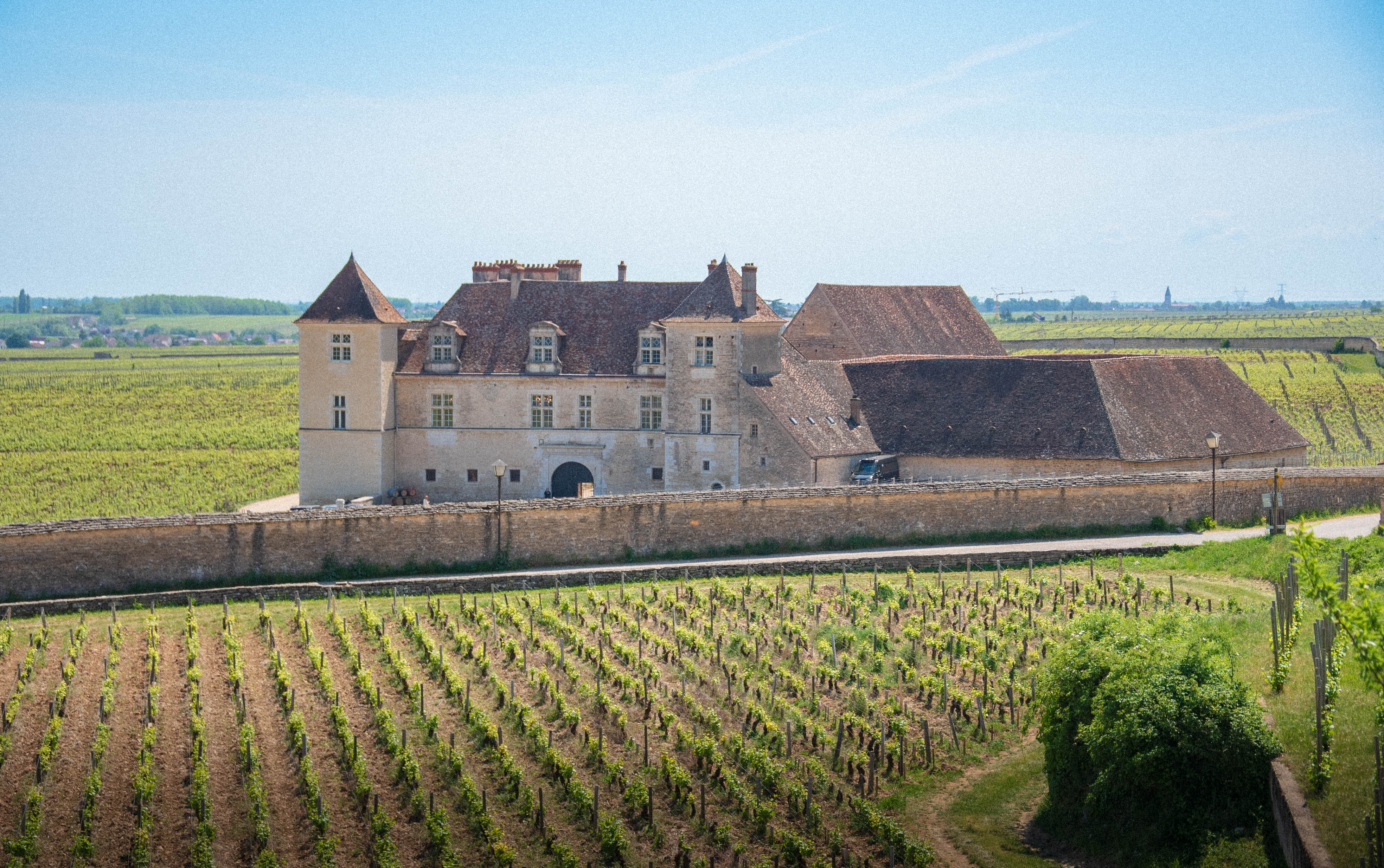 L'art révèle avec élégance le terroir
