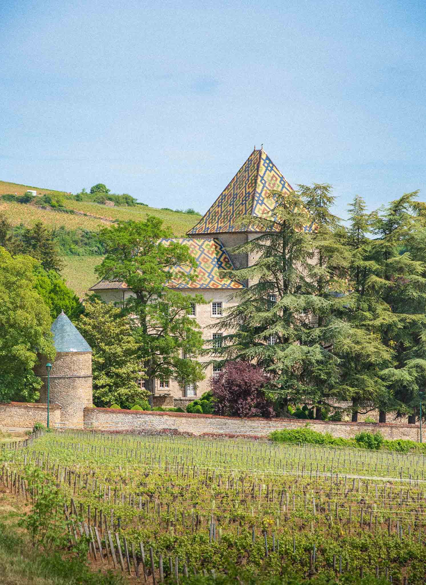 Vignoble de Bourgogne &agrave; l&rsquo;automne