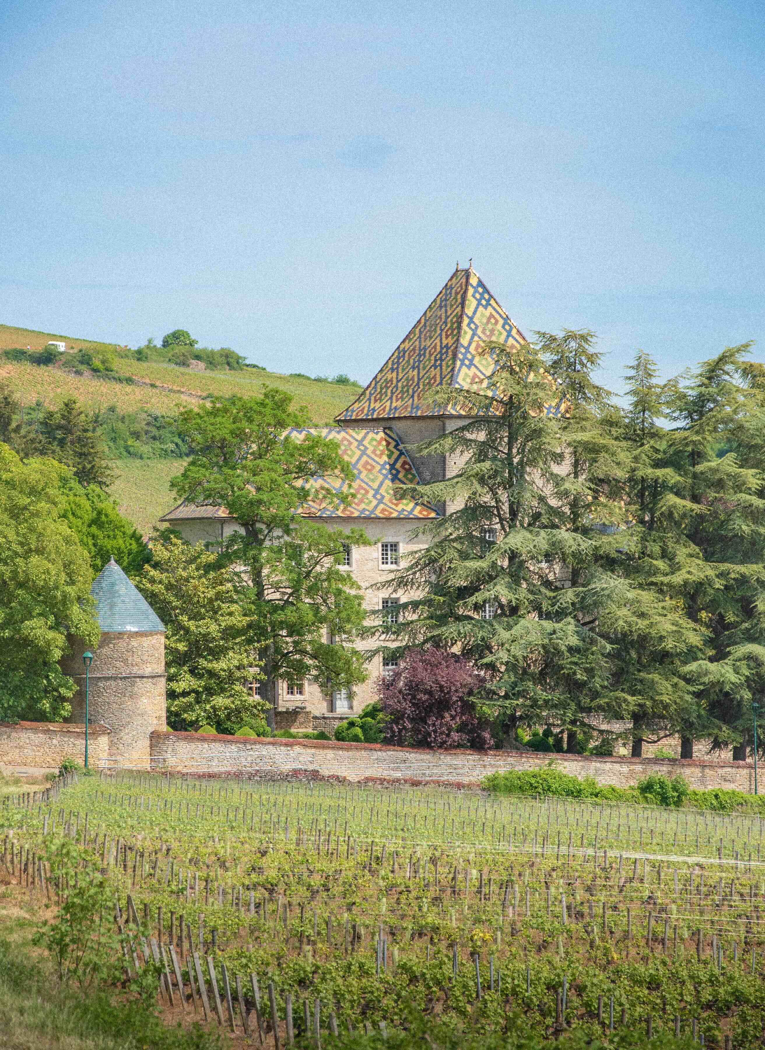 Vignoble de Bourgogne